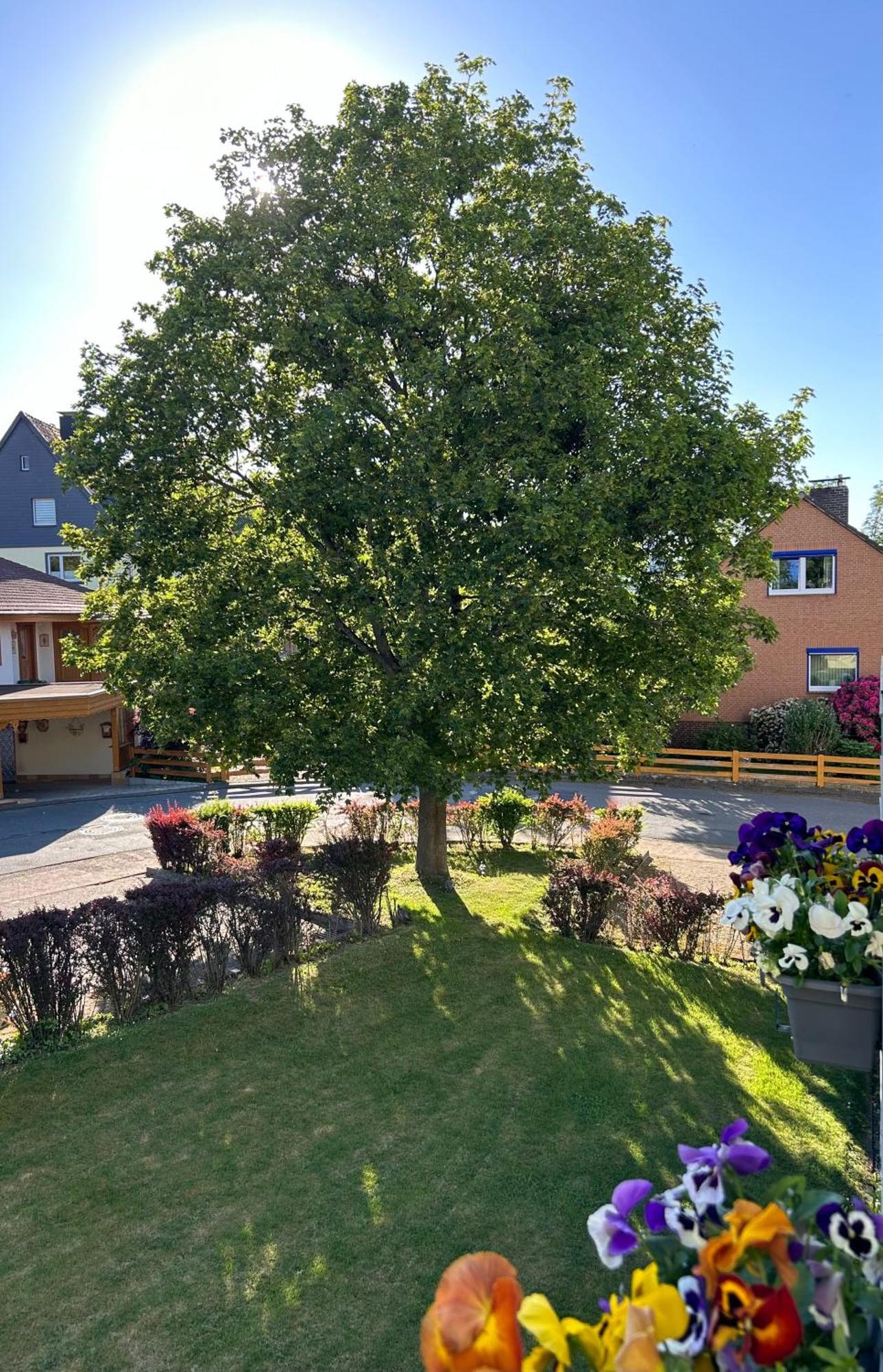 Apartmán Kleine Auszeit Am Wildgehege Bad Harzburg Exteriér fotografie